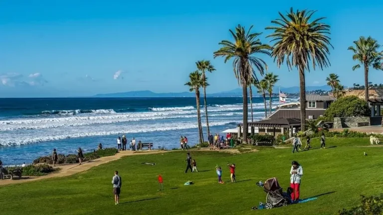 Del Mar beachfront with short green grass, palm trees, and people enjoying the ocean view and recreational activities.